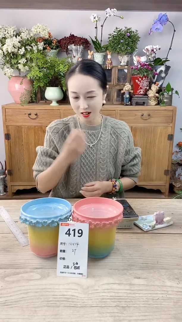 小玩子花盆直播编号419