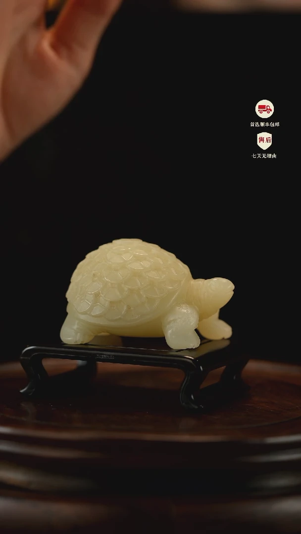 云南石竹叶青雕刻：金钱龟摆件茶宠
