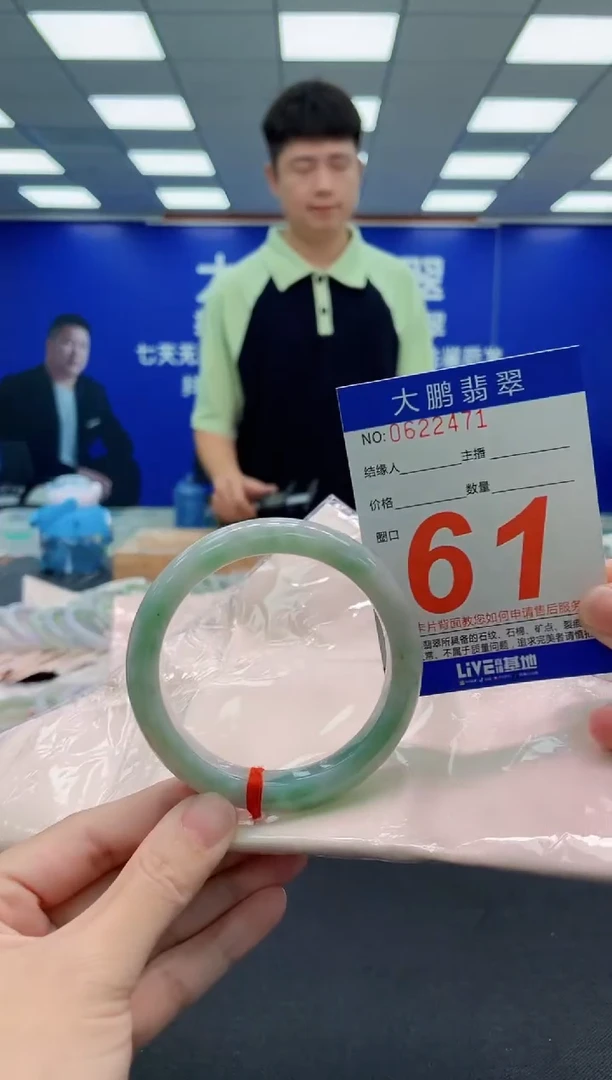 未镶嵌手镯翡翠AAAAAAAAA