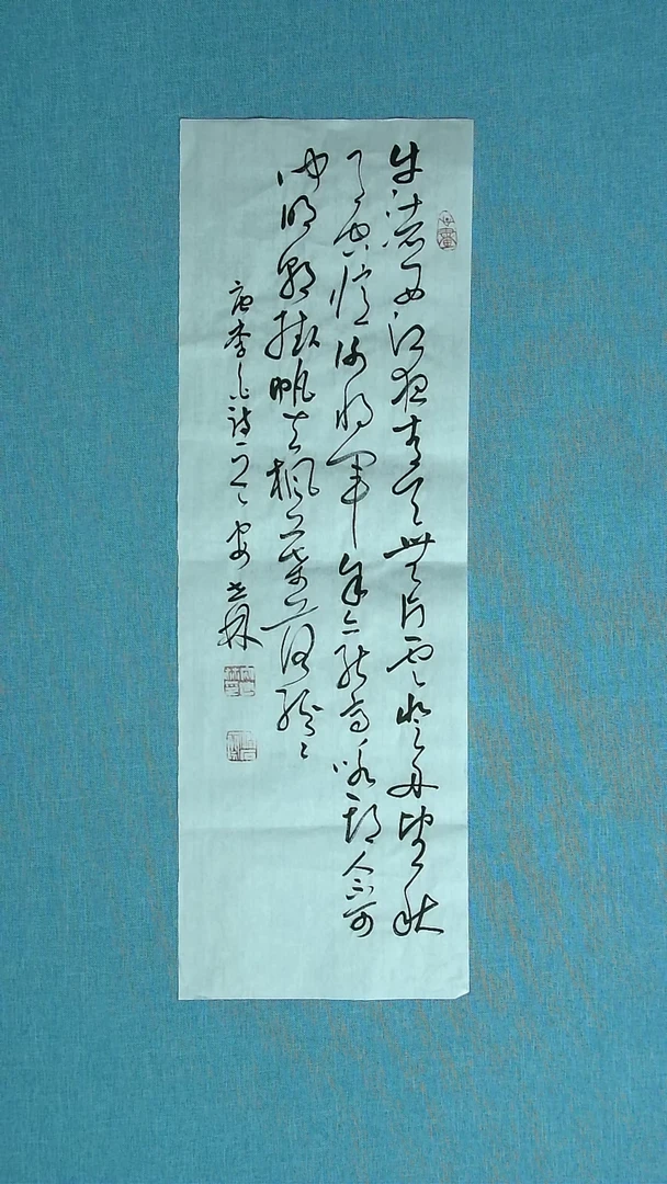 【闪购商品】书法111 甘肃安世林中书协69*23