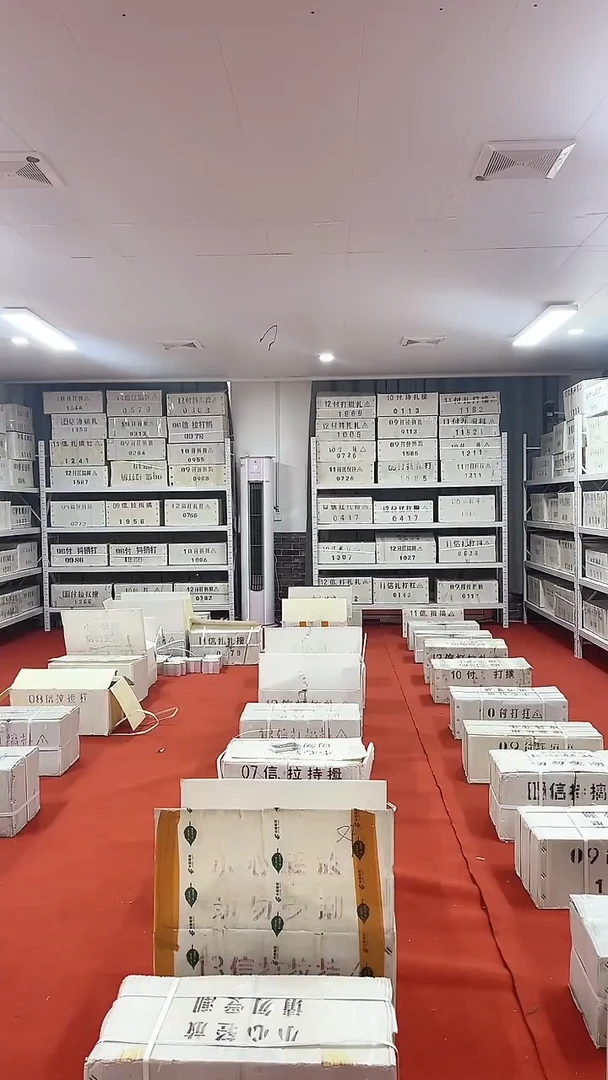 双胞胎号码随机200张连号01