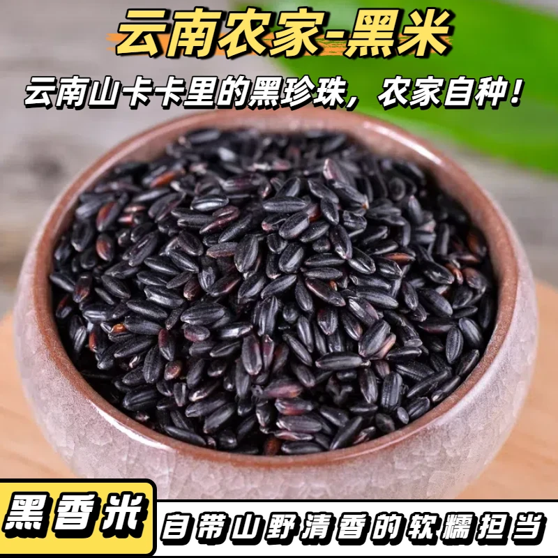 营养黑米2025年新米东北农家糯粗粮黑大米正宗五谷杂粮食品黑香米