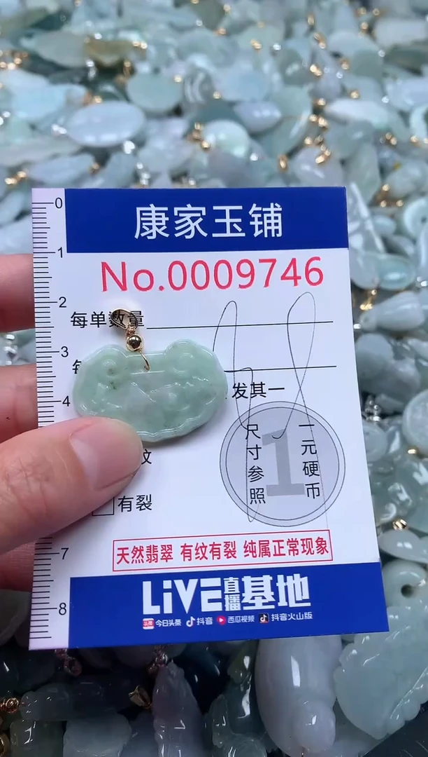 【闪购商品】翡翠吊坠(不含链)未镶嵌9746