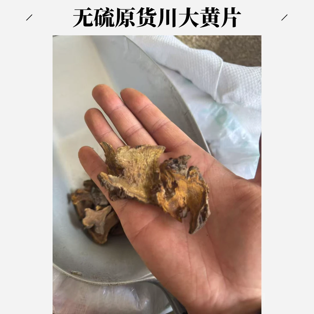 安国中药材市场批发大黄川大黄片