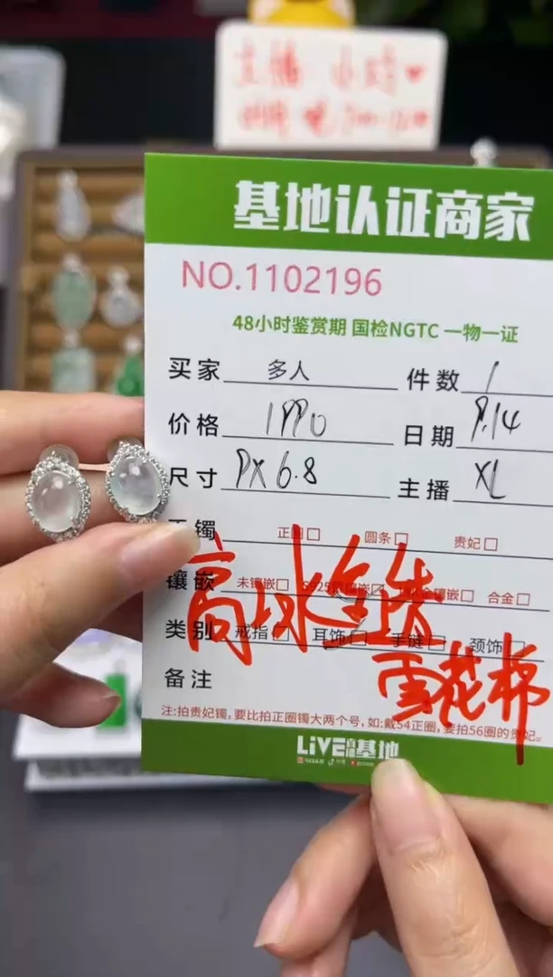 银S925镶嵌翡翠耳饰多人