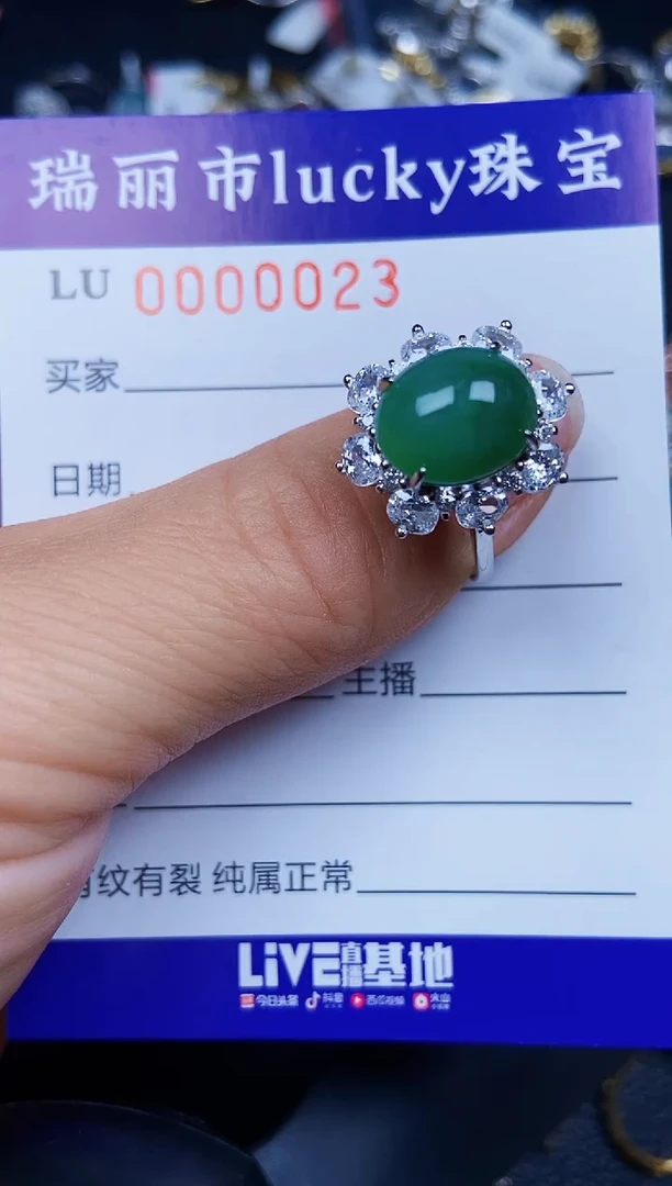 翡翠银S925镶嵌颈饰0023