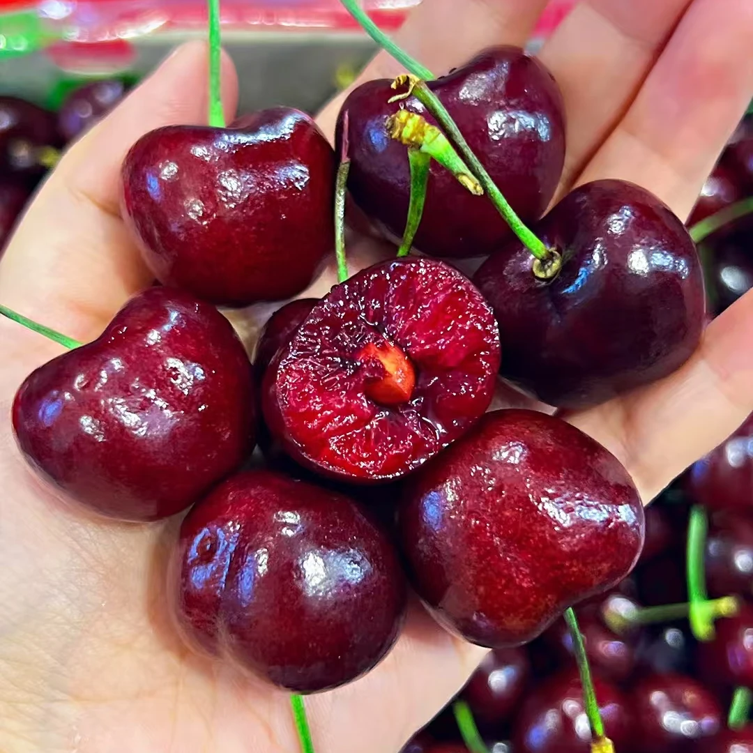 【拉萨小时达】新鲜智利进口车厘子3J 5斤（果径30-32mm）桑提娜海运桑提娜澳大利亚