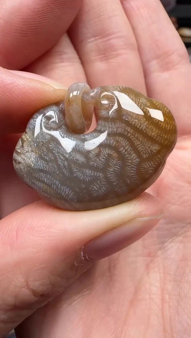 颈饰未镶嵌硅化珊瑚（珊瑚玉）792