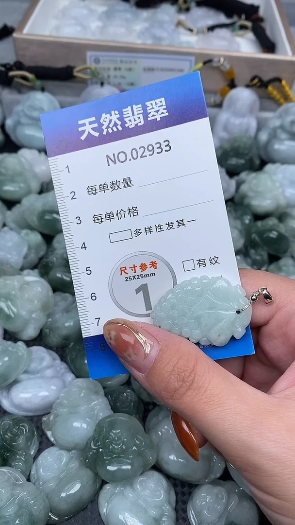 颈饰未镶嵌翡翠纯天然A货翡翠2933
