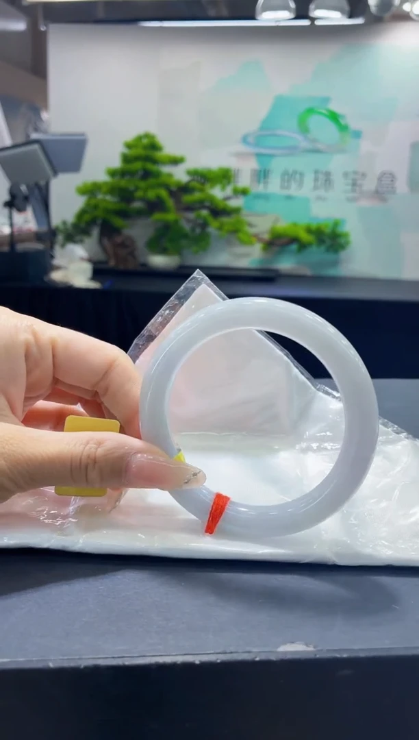 未镶嵌手镯翡翠11