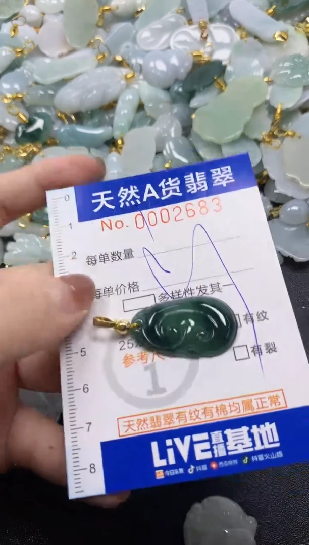 颈饰未镶嵌翡翠天然A货翡翠