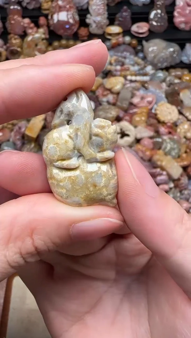 颈饰未镶嵌硅化珊瑚（珊瑚玉）054