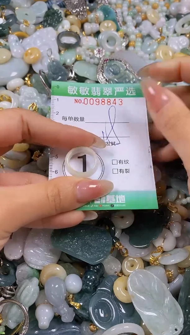 【闪购商品】翡翠颈饰未镶嵌闪购0098843