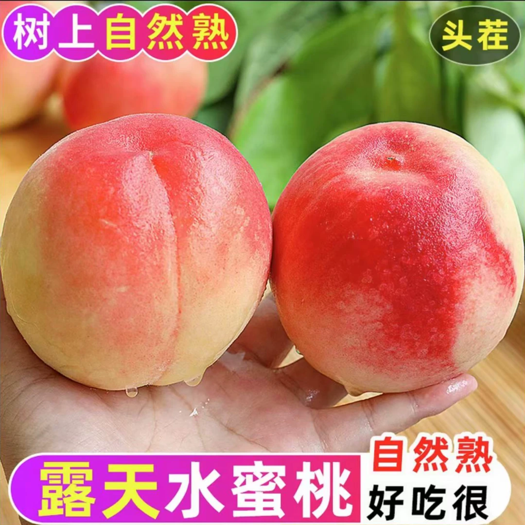 XG 山西运城水蜜桃新鲜带箱5斤应季水果脆软两吃