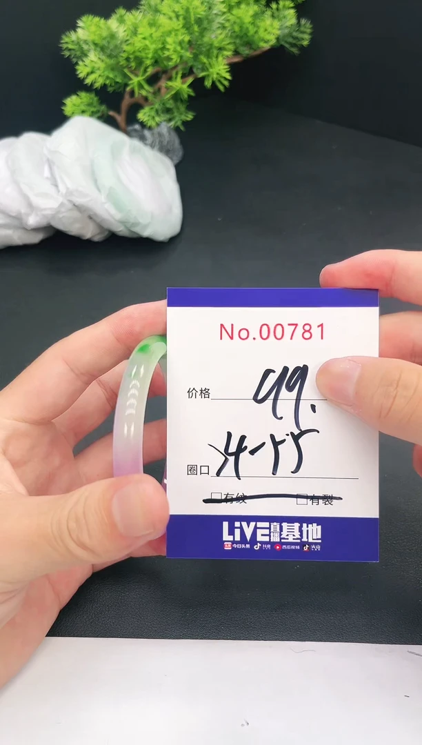 未镶嵌手镯翡翠00781