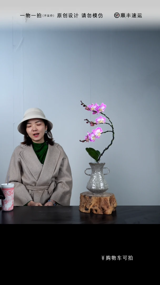 【闪购商品】018号链接【一物一拍】艺术盆景