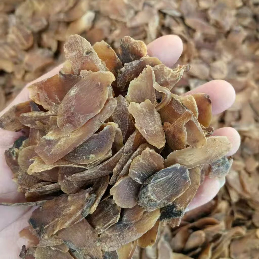 阿喳养生精选滋补【高丽棒二刀片】干货泡水 煲汤