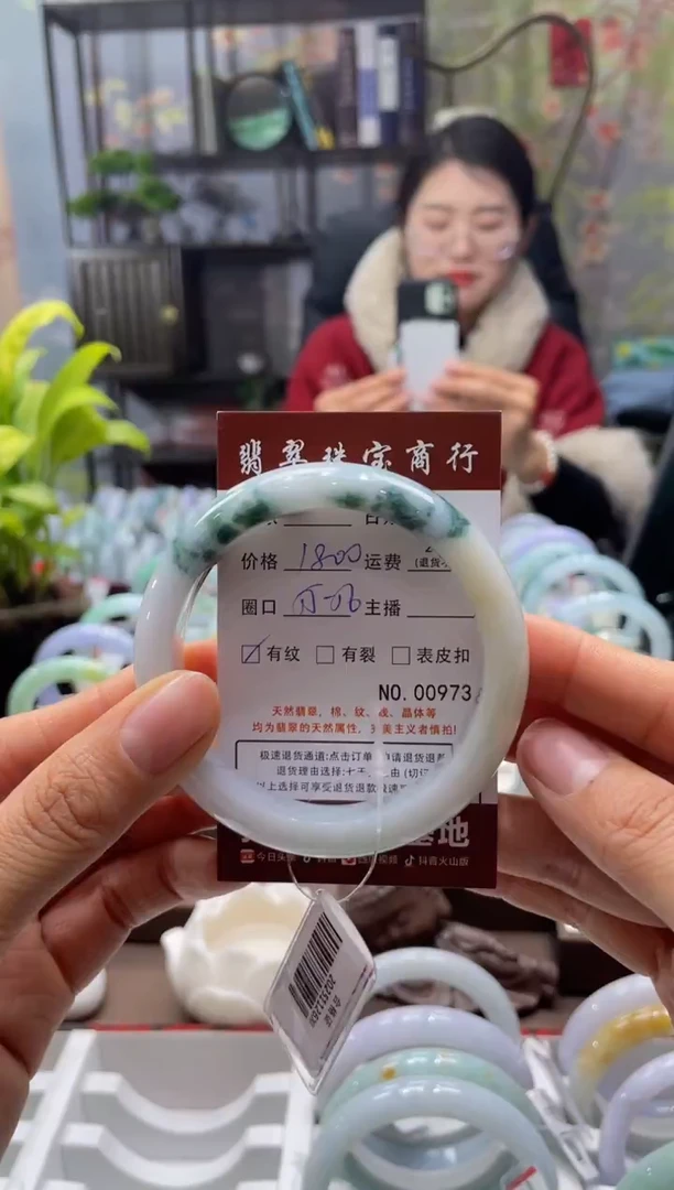 未镶嵌手镯翡翠973****
