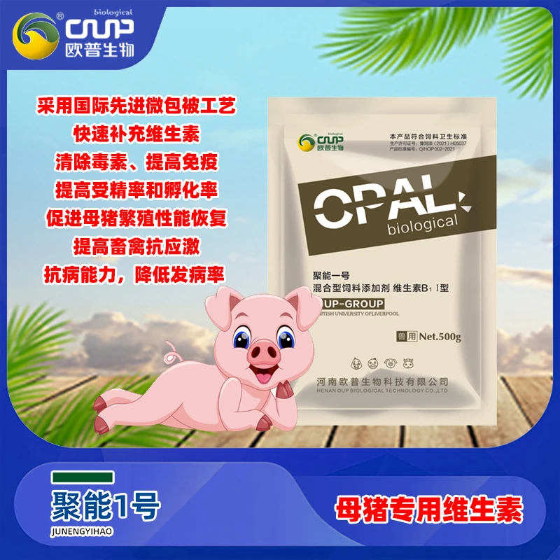 （聚能一号）母猪专用维生素，解决母猪发情，返青