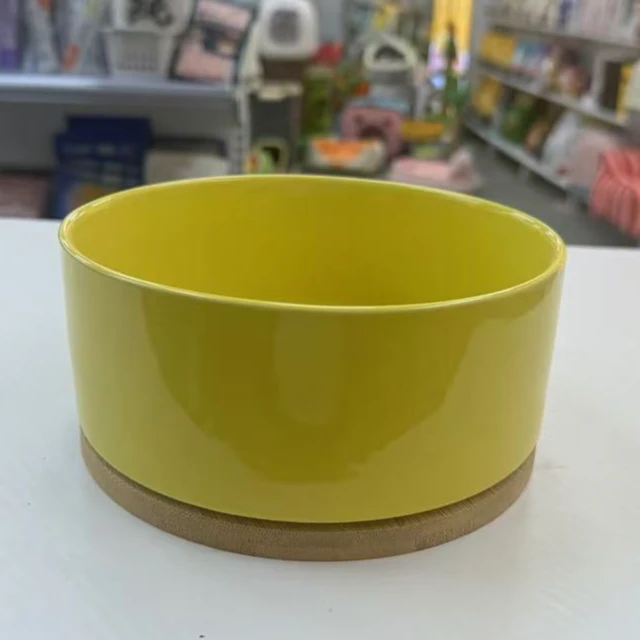 猫咪饮水器黄色恒温饮水器