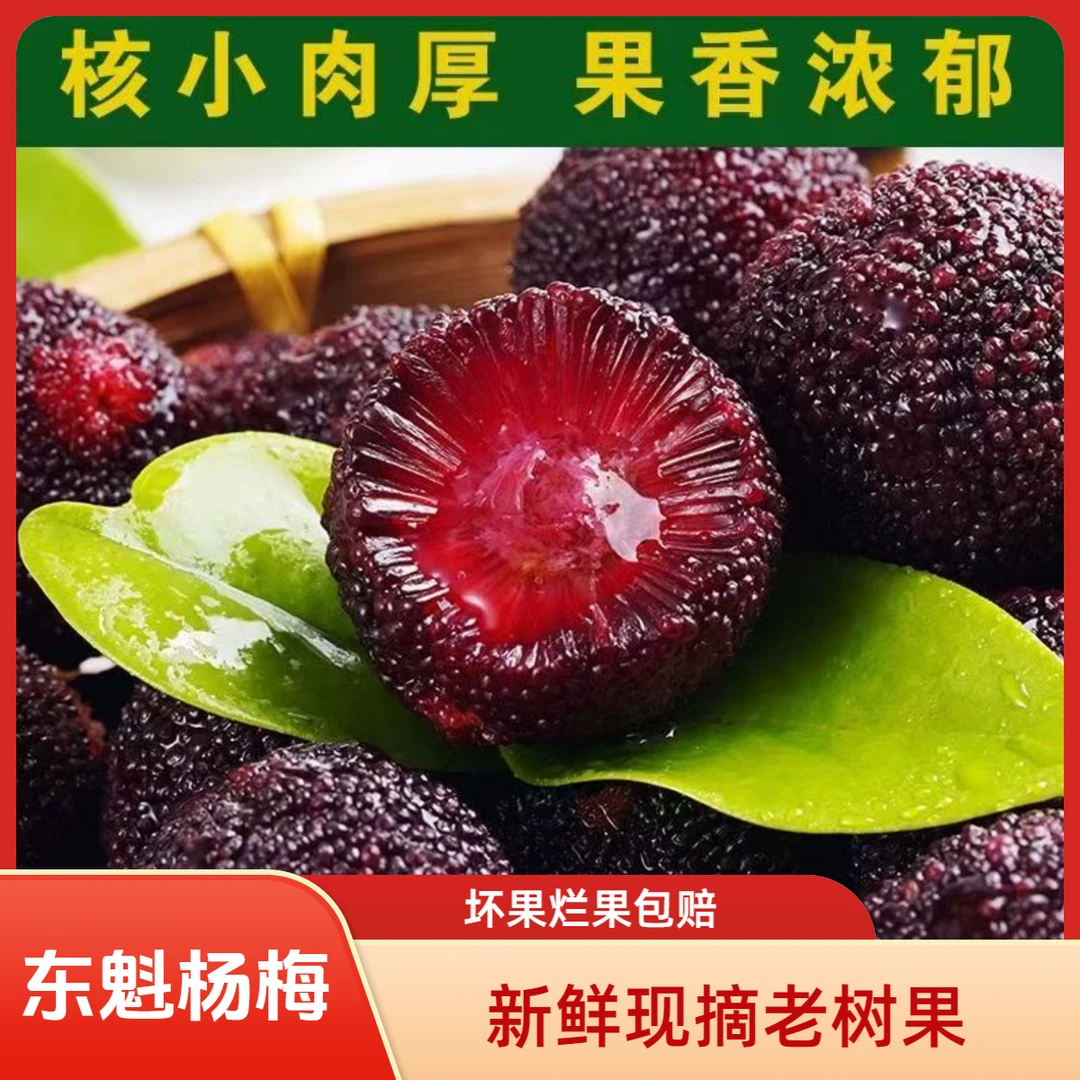 【东魁杨梅】福建浮宫老树东魁杨梅现摘现发当季孕妈妈水果(俊)