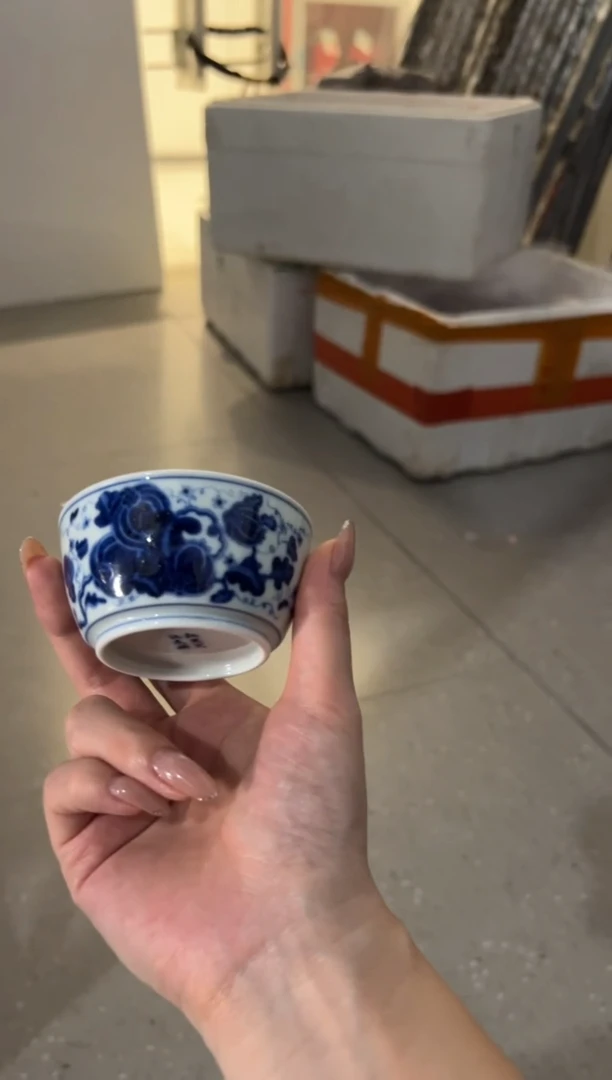 瓷片       红丰窑