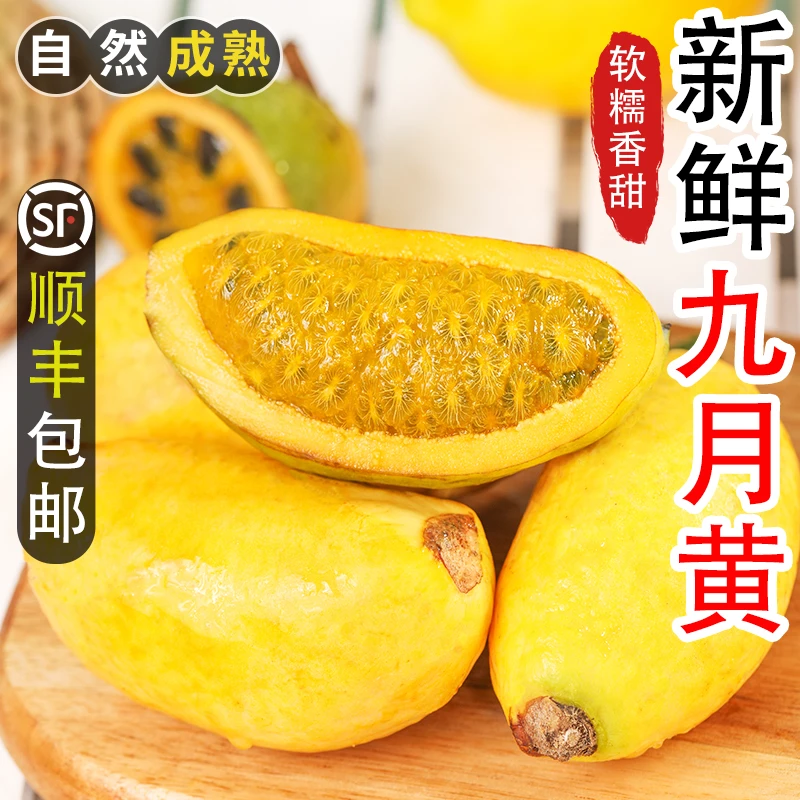 野生新鲜九月黄应季水果拿麻藤包牛卵坨八月瓜木通果顺丰包邮应季