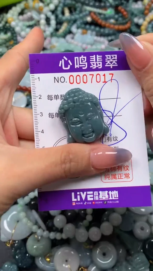颈饰未镶嵌翡翠闪购007017