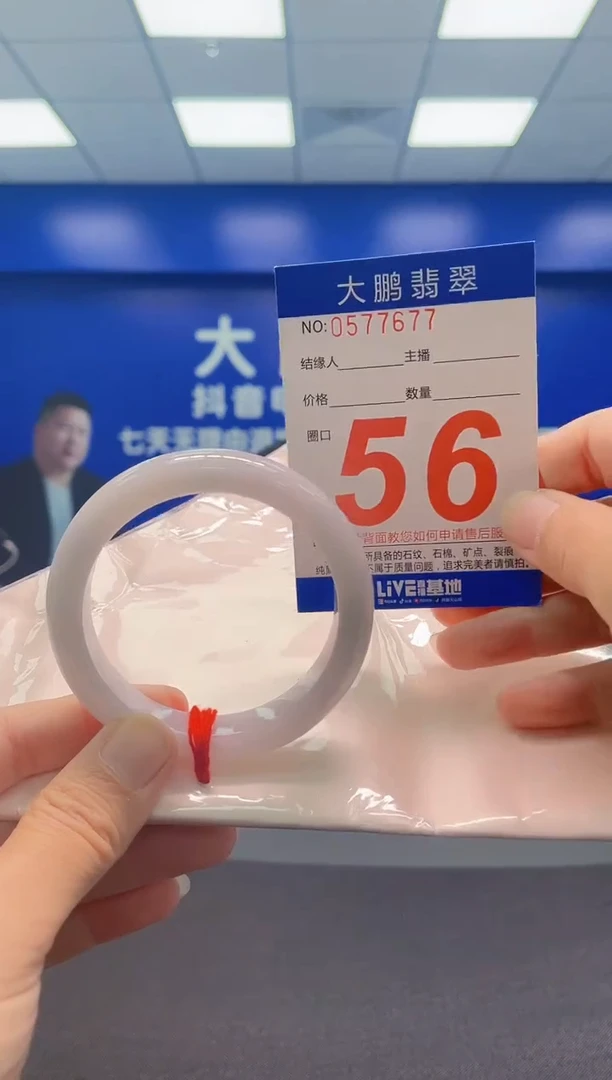 未镶嵌手镯翡翠AAAAAAAAA