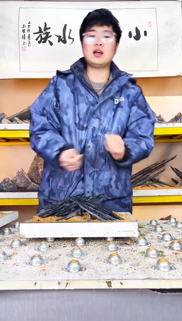 仙*球117     小石潭造景不带编号不含底沙沙盘