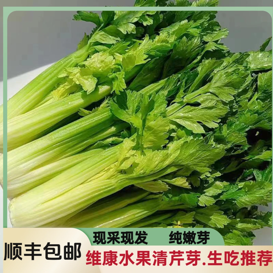 【顺丰包邮】半斤1斤2斤立农维康清芹芽生吃凉拌绿色嫩芽清芹芽