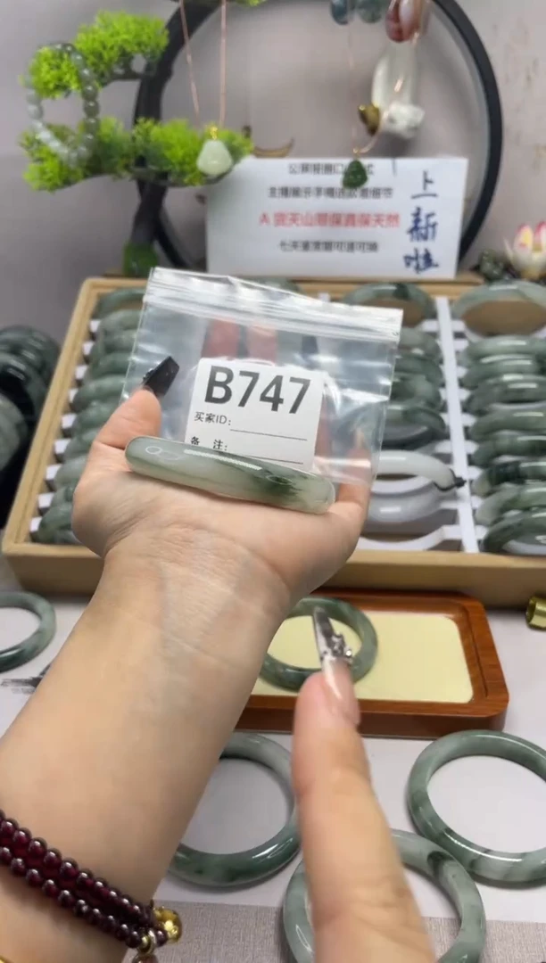 【闪购商品】石英质玉（天山翠）手镯未镶嵌b747