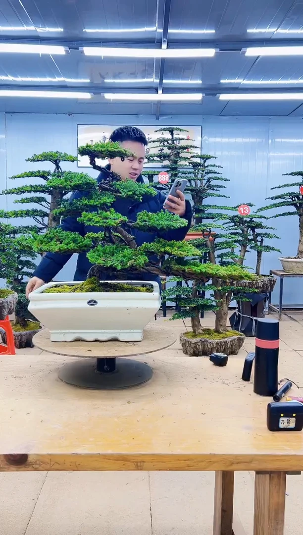 无花朵000000000000000