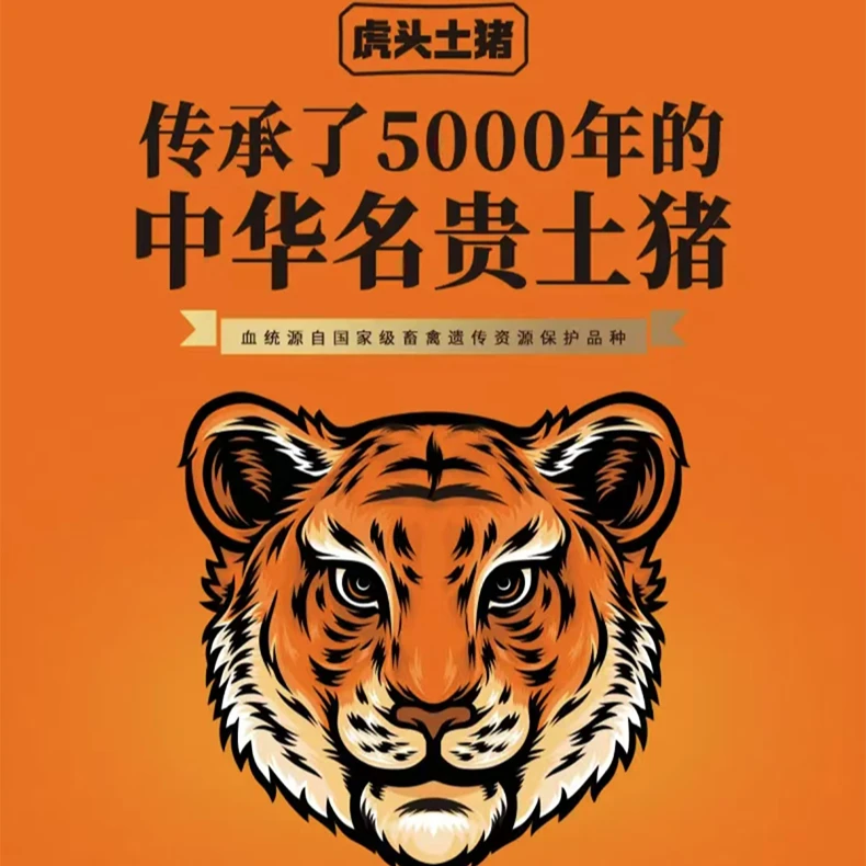 【拍5斤发6斤链接】纯种中华土猪生态慢养500天