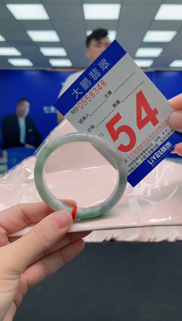 未镶嵌手镯翡翠AAAAAAAAA