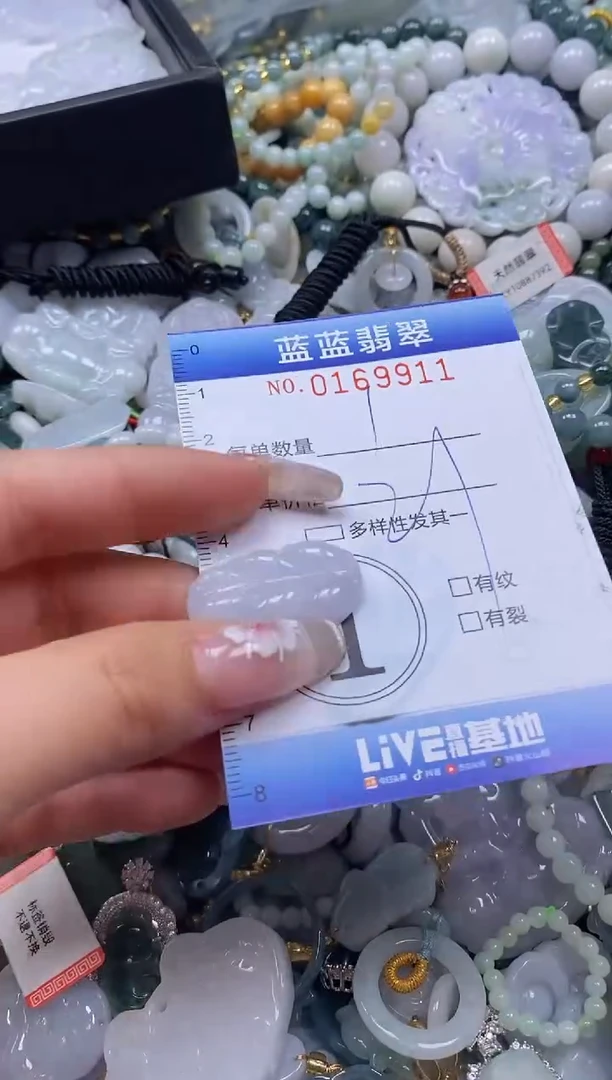 【闪购商品】翡翠颈饰未镶嵌闪购0169911