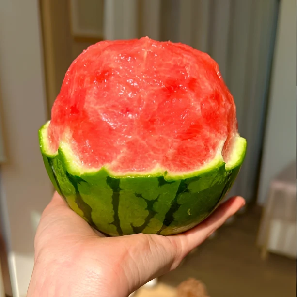 产地源选 当季限定红颜小糖丸冰激凌西瓜4-6斤【顺丰包邮】