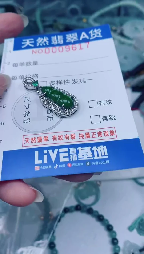 颈饰未镶嵌翡翠00009617