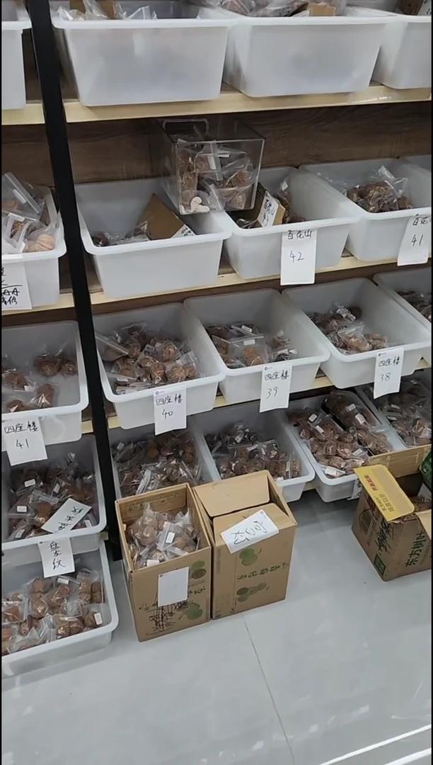 把件核桃福利【137白狮子】无修