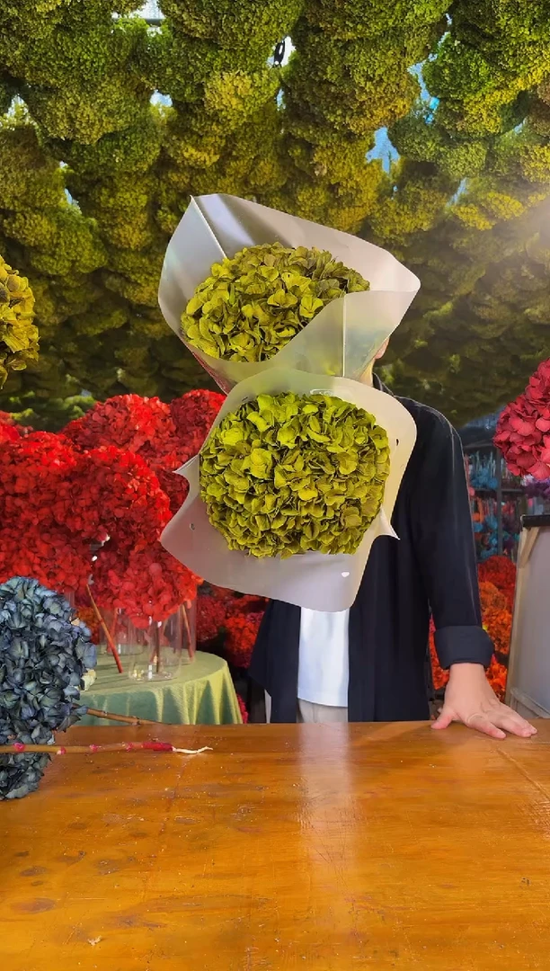 106  山前小麦 · 荷兰进口永生大叶绣球5枝（橄榄绿）