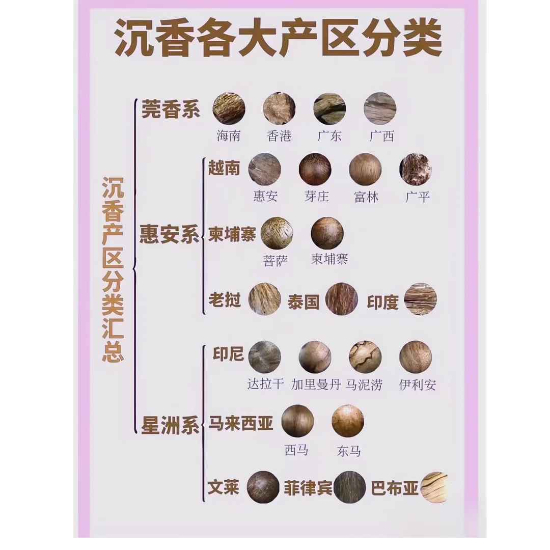 沉香蚁王--精选好物文创A12