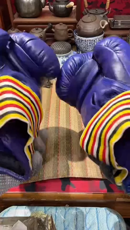 发发发发发发发发发