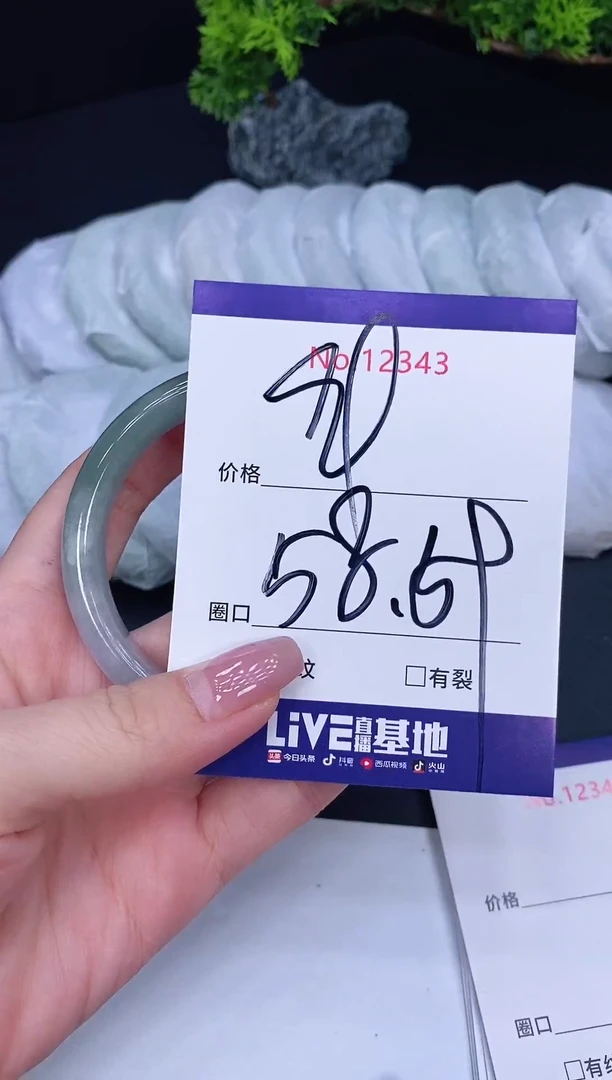 未镶嵌手镯翡翠12343