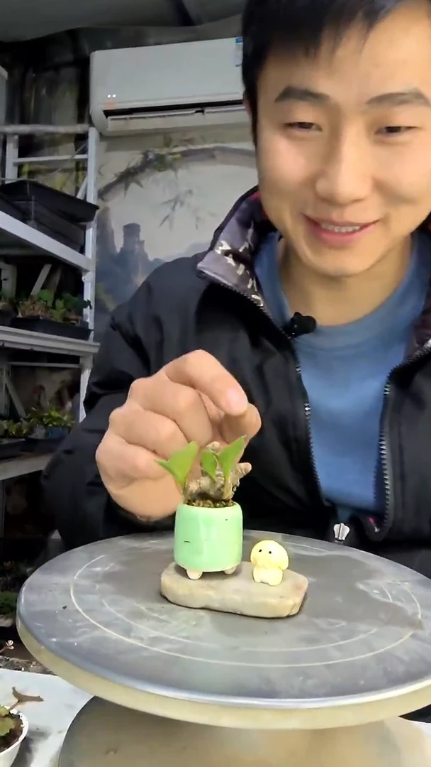 心**水中青园艺一物一拍花261