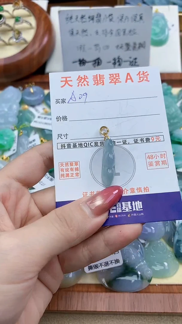 颈饰未镶嵌翡翠天然A货翡翠挂件