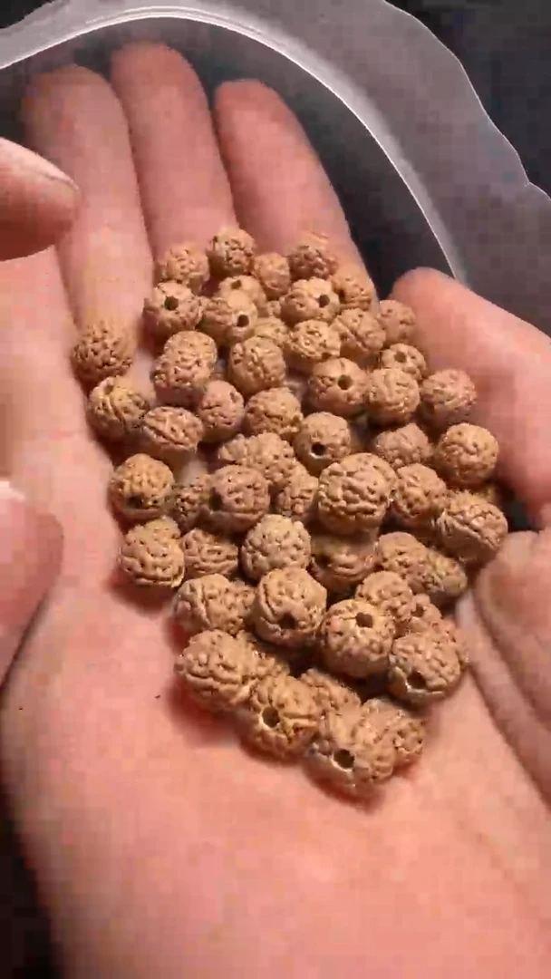 金刚菩提手串非全品原桩一代龙散籽7-8mm一份一百颗