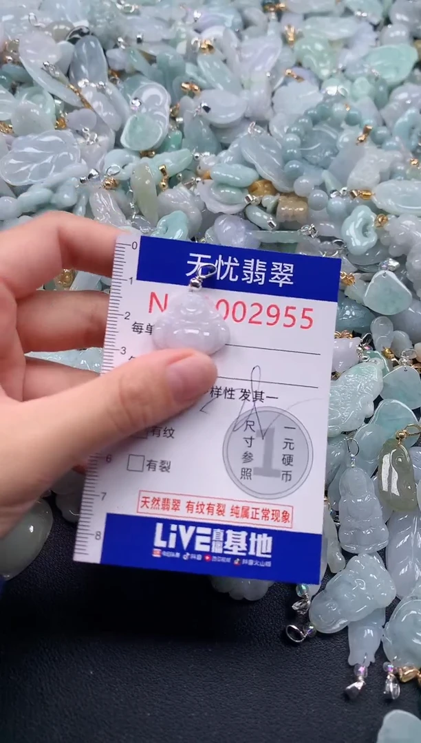 颈饰未镶嵌翡翠2955