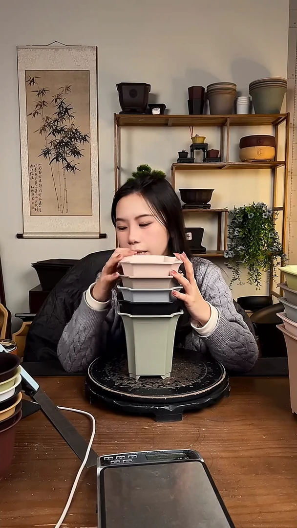 14.5四方尊 6只装颜色随机