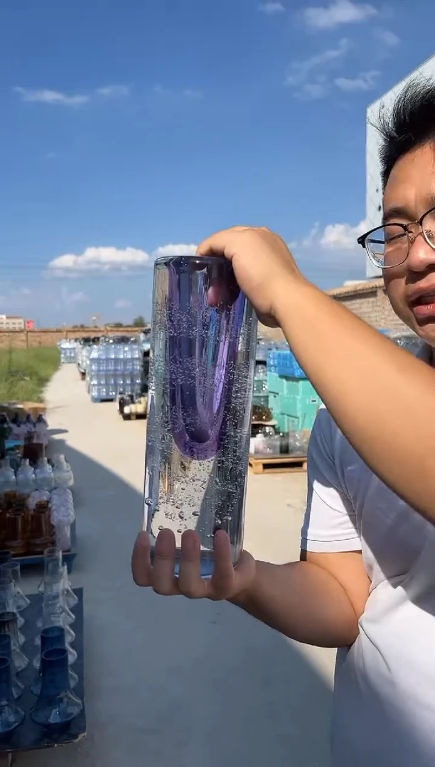 玻璃花瓶用于客厅桌面插花装饰