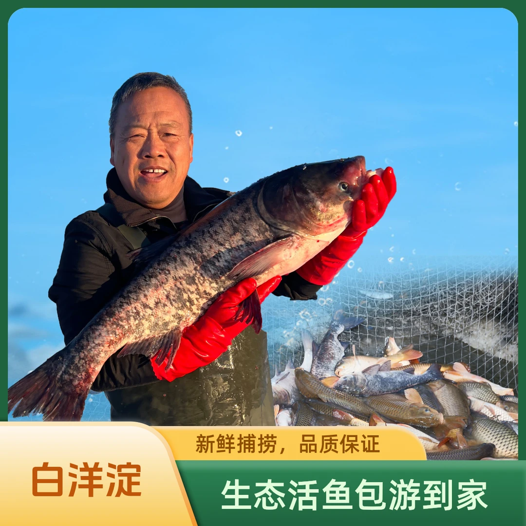 【六公六母】京津冀包游到家